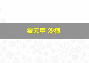 霍元甲 沙狼